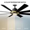Modern Forms Fans Aura Indoor or Outdoor Smart Ceiling Fan 2700-3000-4000-5000K LED in Soft Brass/Matte Black FR-W2303-60L-SB/MB - alternate 4